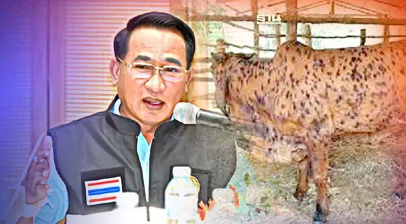 “ฤดูฝน” เตือนรับมือ แมลงพาหะ เสี่ยงเกิดโรคลัมปี สกิน “ฤดูฝน” เตือนรับมือ แมลงพาหะ เสี่ยงเกิดโรคลัมปี สกิน