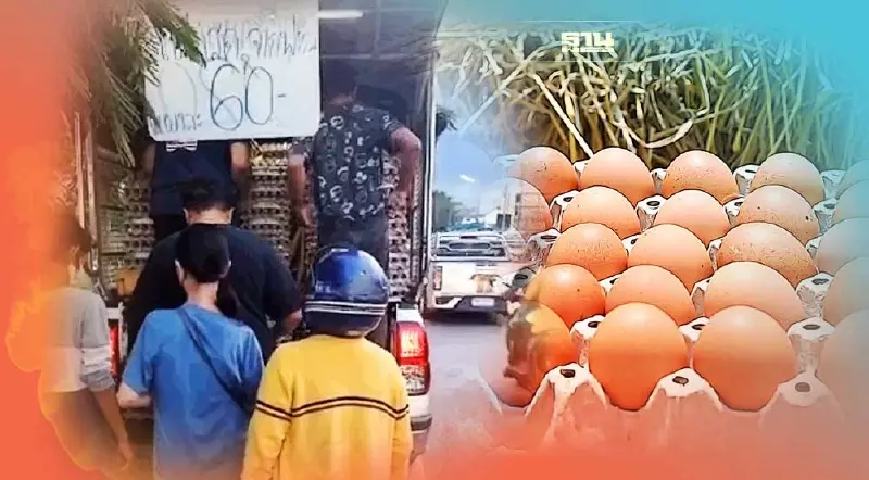 เตือนภัยระวัง พ่อค้าเร่ ขาย "ไข่ไก่" หมดอายุ แผงละ 60 บาท