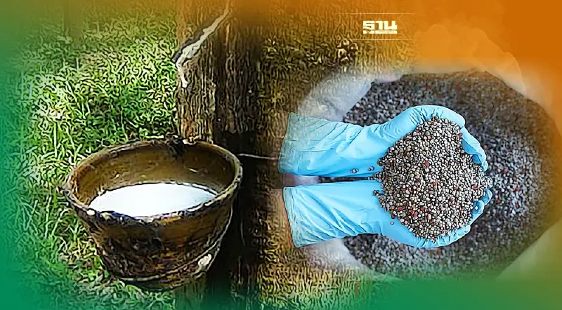 จับตา กยท.เปิดประมูลปุ๋ยยาง ครั้งแรกในรอบ 2 ปี