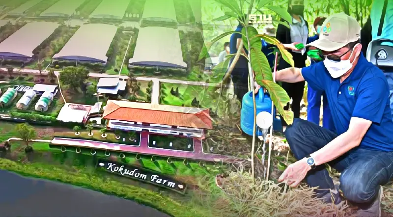 ซีพีเอฟ มุ่งสร้างความมั่นคงทางอาหารอย่างยั่งยืน รับวันสิ่งแวดล้อมโลก