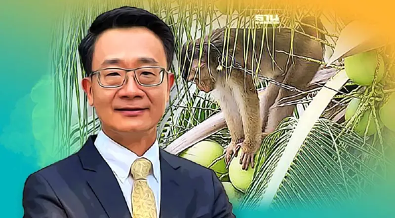 “ลิงเก็บมะพร้าว” ไทยเข้ม ประกาศแบนไม่รับซื้อ “ลิงเก็บมะพร้าว” ไทยเข้ม ประกาศแบนไม่รับซื้อ