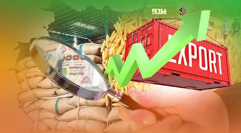 ส่งออกข้าวไทย 4เดือน พุ่ง52%อานิสงส์บาทอ่อน
