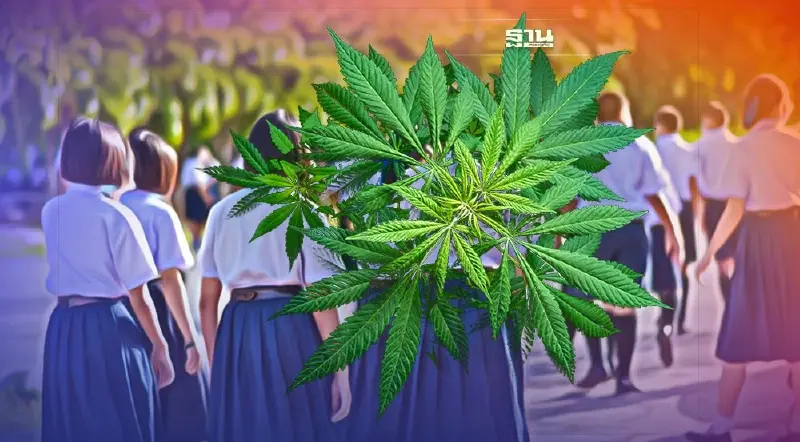 "ชัชชาติ" ออกคำสั่ง 9 มาตรการ สกัด "กัญชา-กัญชง" โรงเรียนในสังกัดกทม.