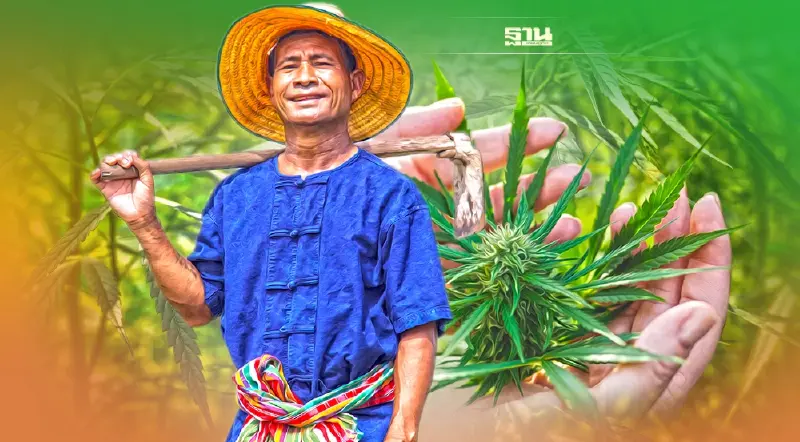 กัญชาถูกกฎหมาย ปลดล็อคปลูกในบ้าน-สูบได้ไหม ?