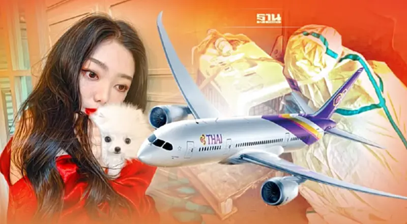 สนั่นจีน!นักร้องดังมีมี่ จี้การบินไทยแจงเหตุหมาตายหลังขนส่งไปเซี้ยงไฮ้ สนั่นจีน!นักร้องดังมีมี่ จี้การบินไทยแจงเหตุหมาตายหลังขนส่งไปเซี้ยงไฮ้