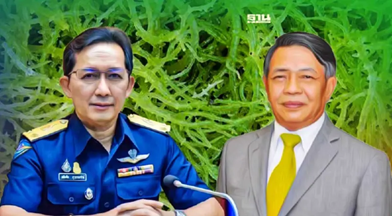 “เกษตรฯ” เล็งเจาะตลาด ”สาหร่าย” โลก มูลค่า 5 แสนล้าน “เกษตรฯ” เล็งเจาะตลาด ”สาหร่าย” โลก มูลค่า 5 แสนล้าน