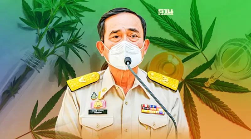 "นายกฯ"เตือน ปลดล็อกกัญชา 9 มิ.ย. ไม่ใช่เสรี 100 % "นายกฯ"เตือน ปลดล็อกกัญชา 9 มิ.ย. ไม่ใช่เสรี 100 %
