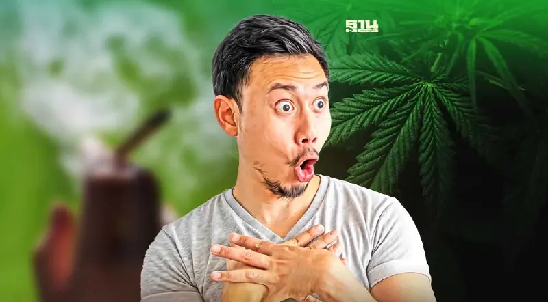 ปลดล็อกกัญชาเสรี สธ. พบ ป่วยแล้ว 9 ราย จากการกิน -สันทนาการ 