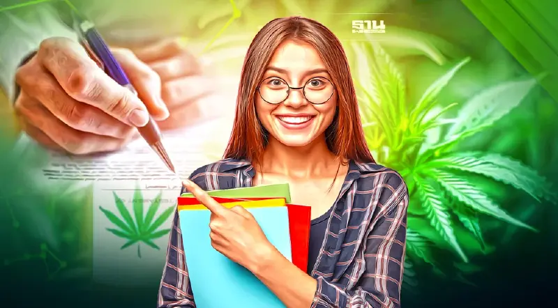 7 ข้อปฏิบัติเข้ม ที่ผู้ผลิต-ขาย “กัญชา กัญชง” ต้องทำมีอะไรบ้าง