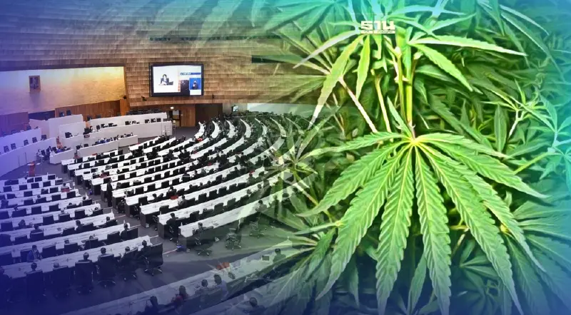 กม.กัญชาฯ ฉลุย สภาไฟเขียว 373 ต่อ 7 เสียง