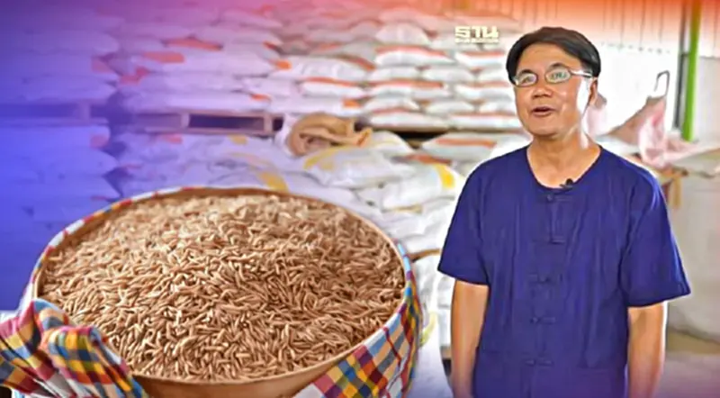 หนุนงบ1.5หมื่นล้าน กรมการข้าว ลุยลดต้นทุนการเกษตรฯ หนุนงบ1.5หมื่นล้าน กรมการข้าว ลุยลดต้นทุนการเกษตรฯ