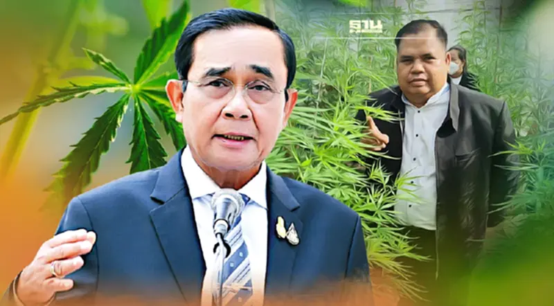 “นายกฯ”ห่วงใยเกษตกร ย้ำ“ปลูกกัญชา”แค่ขออนุญาตผ่านแอปเริ่ม 9 มิ.ย.นี้ “นายกฯ”ห่วงใยเกษตกร ย้ำ“ปลูกกัญชา”แค่ขออนุญาตผ่านแอปเริ่ม 9 มิ.ย.นี้