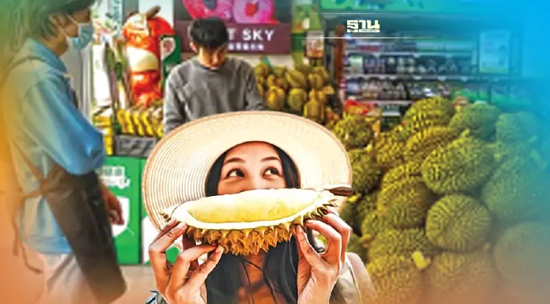 มาเลย์รุกหนักตลาดไฮเอนด์ บัลลังก์แชมป์ทุเรียนไทยในจีนสะเทือน