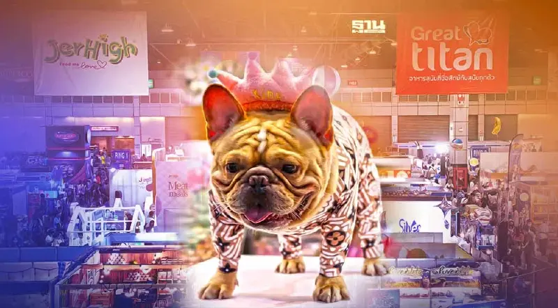 อิมแพ็ค รีเทิร์นจัดงาน ด็อก โชว์ 2022 รวมพลคนรักสุนัข