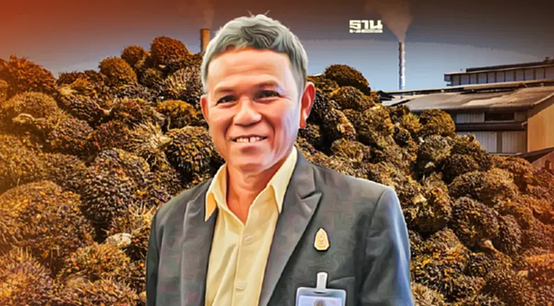 "ปาล์มน้ำมัน" วันนี้บวกเด้ง ขานรับประชุมอนุฯ ปาล์มสมดุลถกนัดแรก "ปาล์มน้ำมัน" วันนี้บวกเด้ง ขานรับประชุมอนุฯ ปาล์มสมดุลถกนัดแรก