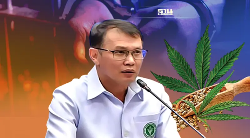 อย.เตือน! อวดอ้างสรรพคุณกัญชาเกินจริง โทษหนักถึงจำคุก อย.เตือน! อวดอ้างสรรพคุณกัญชาเกินจริง โทษหนักถึงจำคุก