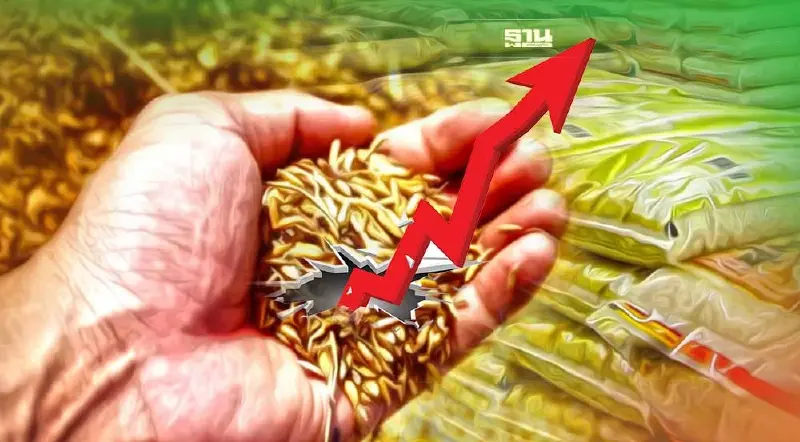 "พาณิชย์"ยันข้าวเปลือกราคาสูงกว่าปีก่อน ย้ำอีกรอบข้าวถุงยังไม่ปรับราคา