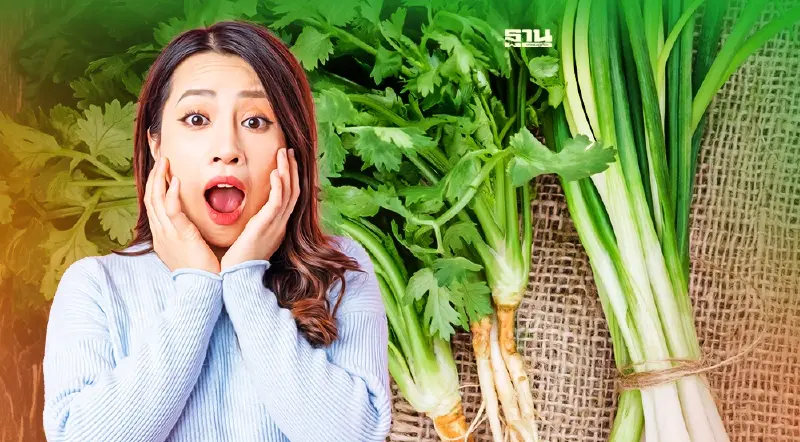 ผักชี ต้นหอม ขึ้นฉ่าย แพงมากวันนี้(21มิ.ย.)