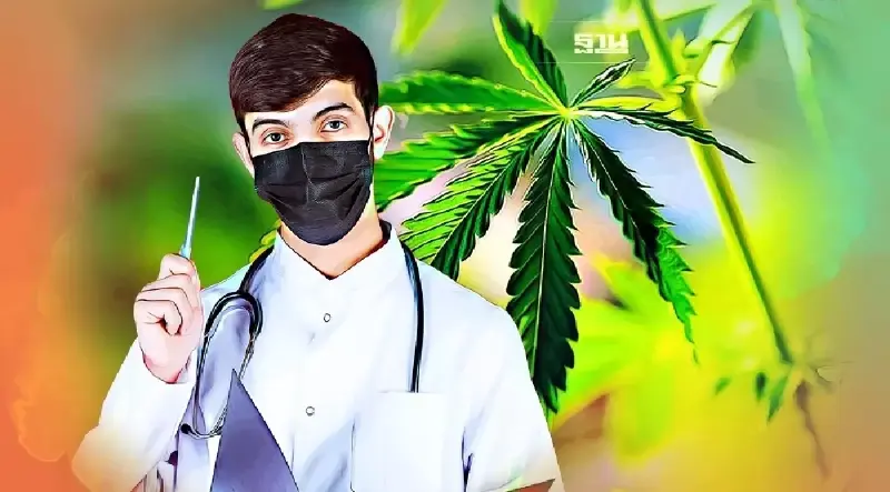 เปิดแถลงการณ์ "มหิดล" แนะนำการใช้กัญชา