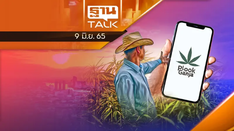 ลงทะเบียน-จดแจ้ง การปลูกกัญชา ได้แล้ว !