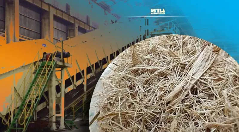 ถอดรหัส"ชานอ้อย"เขย่าอุตสาหกรรมอ้อยและน้ำตาลทราย 2.5 แสนล้าน