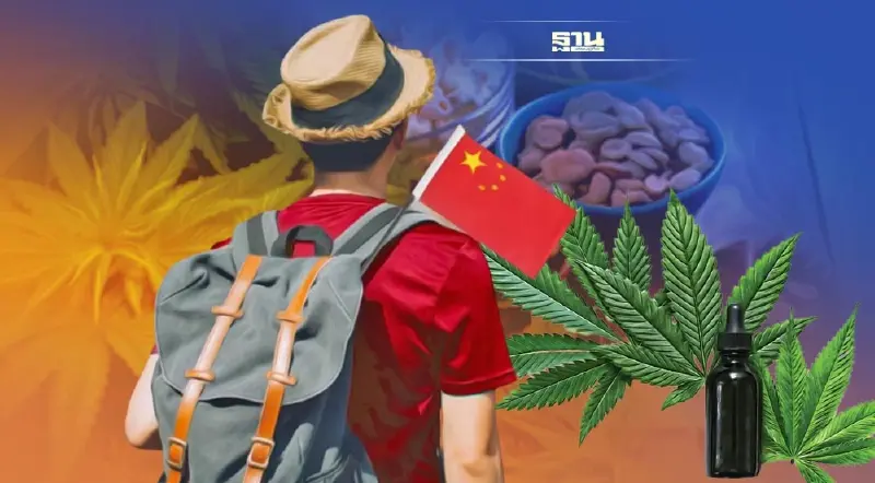 สถานทูตจีนฯ เตือน นนท.จีนใช้กัญชาในไทย ขากลับระวังสารตกค้าง "ผิดกฎหมายจีน"