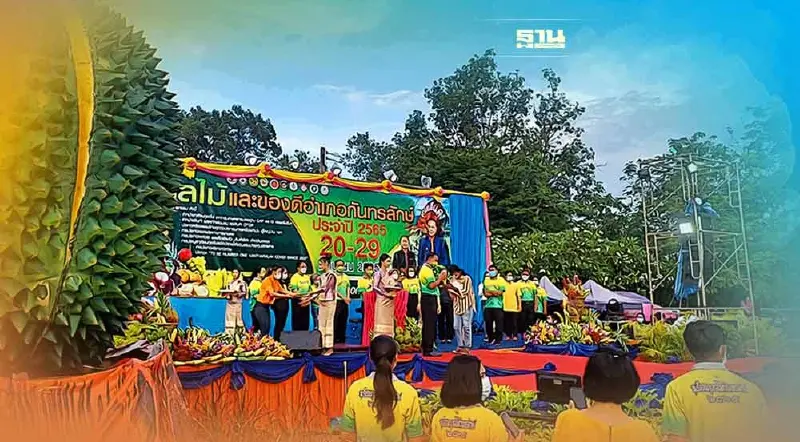 ทุเรียนภูเขาไฟศรีสะเกษสินค้าดีGI"กันทรลักษณ์"สะพัด580ล้าน