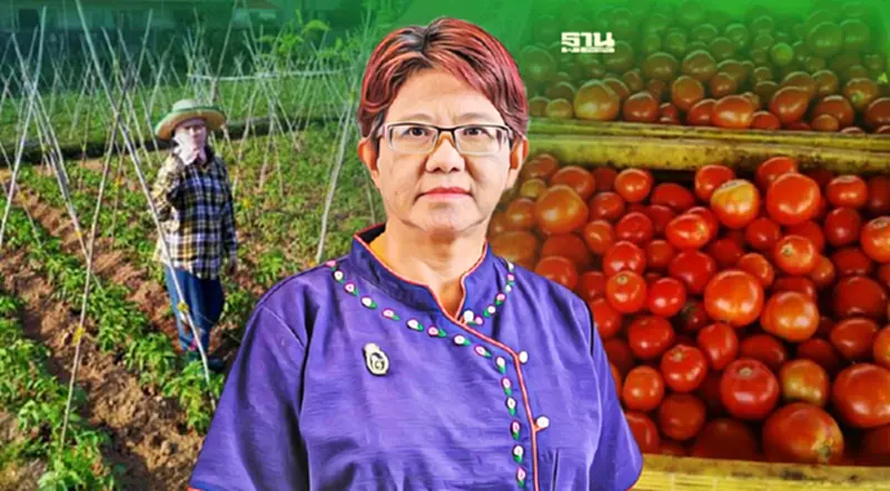 ‘แปลงใหญ่มะเขือเทศตำบลพานพร้าว’ นำร่องสู่ธุรกิจเกษตรอุตสาหกรรม 2 ล้านไร่ ‘แปลงใหญ่มะเขือเทศตำบลพานพร้าว’ นำร่องสู่ธุรกิจเกษตรอุตสาหกรรม 2 ล้านไร่