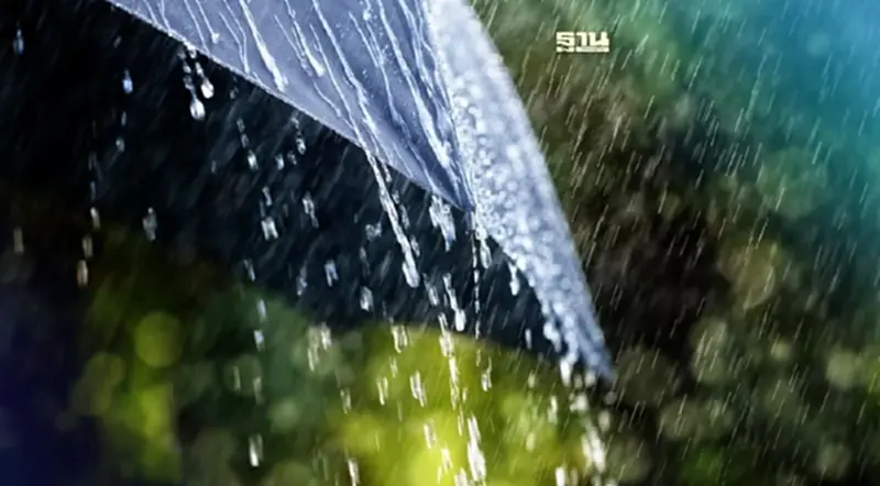 สภาพอากาศวันพรุ่งนี้ 25 จว.มีฝนฟ้าคะนอง -กทม.ฝนร้อยละ 40 สภาพอากาศวันพรุ่งนี้ 25 จว.มีฝนฟ้าคะนอง -กทม.ฝนร้อยละ 40
