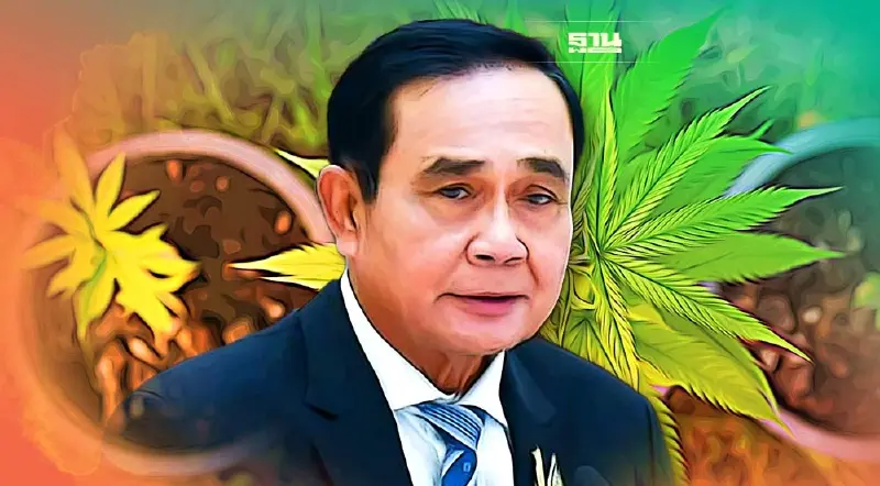 เตือน!ศึกษากม.ก่อนไป ตปท. กัญชายังเป็นยาเสพติด โทษสูงสุดประหาร