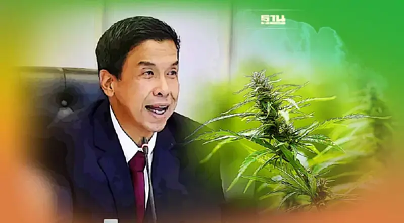 “ชัชชาติ”เผยกทม.พบ “เสพกัญชา”เกินขนาด เสียชีวิต 1 ราย ป่วยอีก 3 “ชัชชาติ”เผยกทม.พบ “เสพกัญชา”เกินขนาด เสียชีวิต 1 ราย ป่วยอีก 3