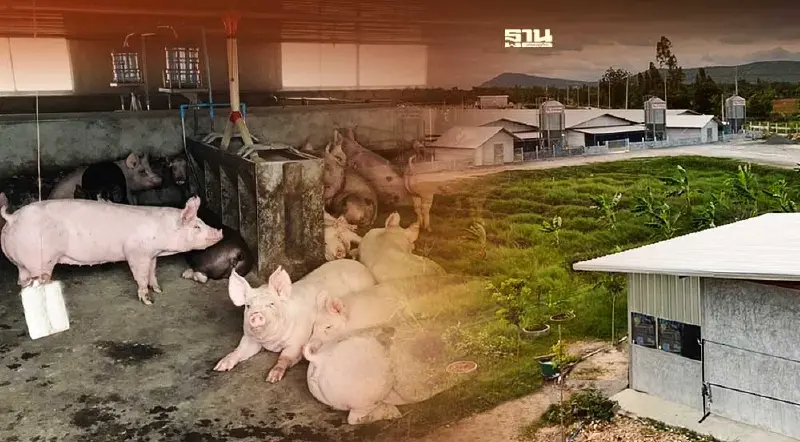 “อภิรัตน์ฟาร์ม”ตัวอย่างความสำเร็จ เกษตรกรคอนแทรคฟาร์มยุคใหม่ จ.ลพบุรี