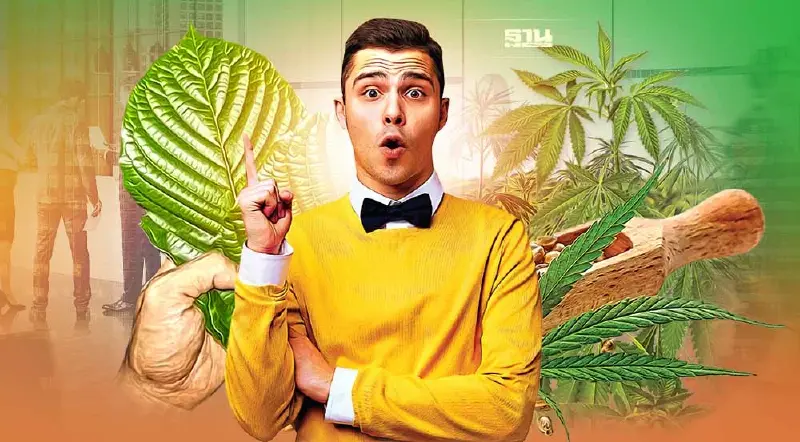 กัญชง-กัญชา-ใบกระท่อม  1ใน10ธุรกิจเด่นครึ่งปีหลัง