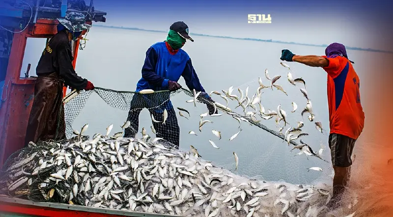 ด่วนที่สุด “กรมประมง” เปิดรับฟังความคิดเห็นควบคุมการจับสัตว์น้ำขนาดเล็ก