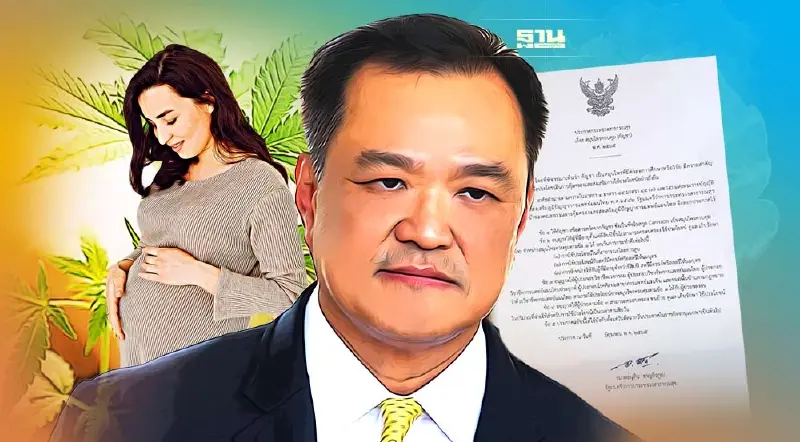 กัญชาเสรี อนุทิน เพิ่งตื่น! ออกประกาศห้าม "คนท้อง-เด็กอายุต่ำกว่า 20 ปี" ใช้