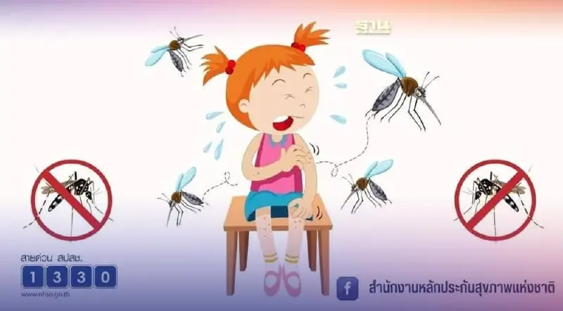 รู้ทันไข้เลือดออก อาการแบบไหนเข้าข่าย-วิธีป้องกันมีหรือไม่