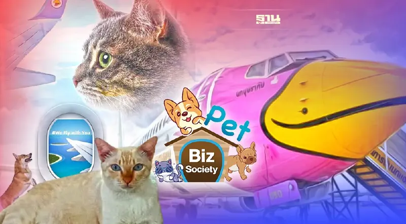 ครั้งแรก! นกแอร์เปิดบริการเอาใจทาสแมว หมา พาขึ้นเครื่องบินได้ เริ่มส.ค.นี้