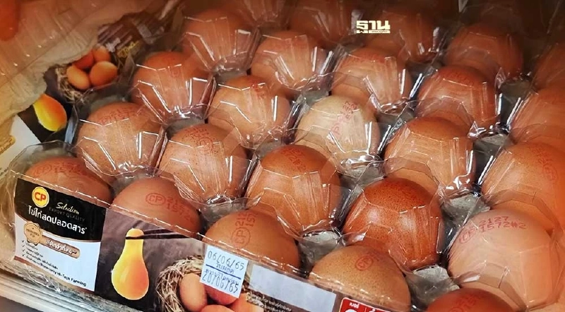 “ซีพีเอฟ”รุกใช้พลาสติกรีไซเคิลกับผลิตภัณฑ์ไข่สด “ซีพีเอฟ”รุกใช้พลาสติกรีไซเคิลกับผลิตภัณฑ์ไข่สด