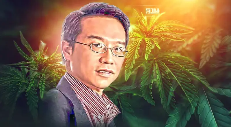 "กัญชาเสรี" ได้ไม่คุ้มเสีย เพราะอะไร อันตรายอย่างไร ต้องแก้ไขยังไง อ่านเลย