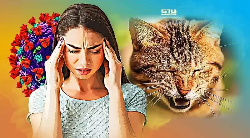 แมวแพร่เชื้อโควิด-19 สู่คนได้อย่างไร อันตรายแค่ไหน ป้องกันยังไง เช็คเลย