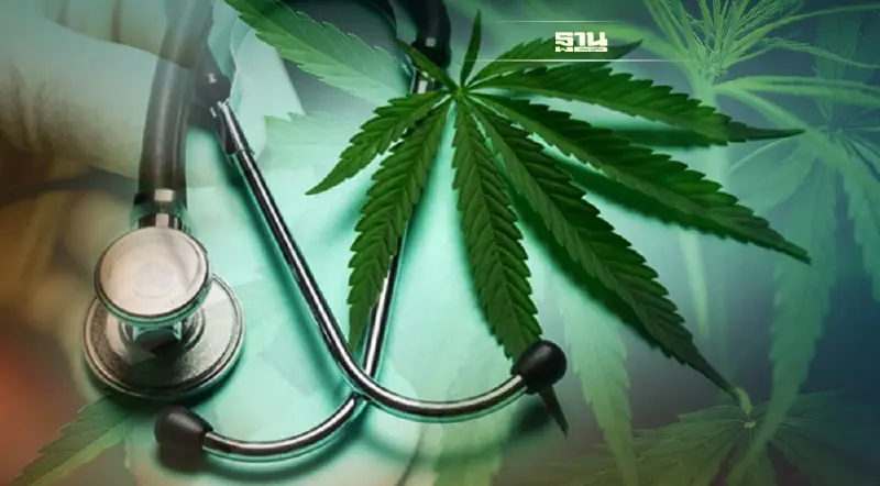 "กัญชา" ทางการแพทย์ รักษา 6 โรคอะไรได้บ้าง  มีโทษถ้าใช้ไม่ถูกต้อง