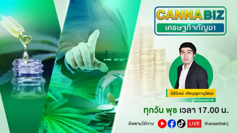 ปลดล็อกกัญชาใช้อย่างไรให้ไม่ผิดกฎหมาย- ปลอดภัย ปลดล็อกกัญชาใช้อย่างไรให้ไม่ผิดกฎหมาย- ปลอดภัย