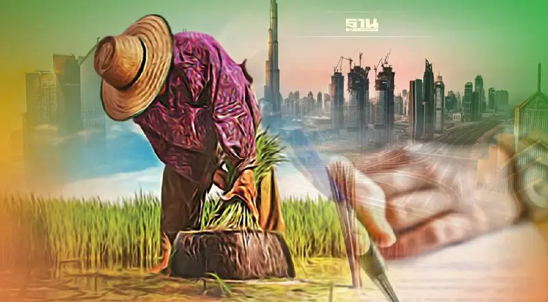 ไทยเนื้อหอม “ยูเออี” เล็งทำสัญญาซื้อข้าวไทย