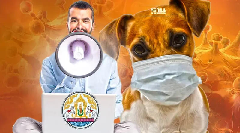 อย่าตื่นตระหนก! กรมปศุสัตว์  แจง “ COVID-19”  จากสัตว์สู่คนเกิดขึ้นได้น้อยมาก