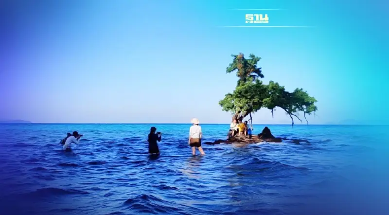 ทำไงดี แห่เที่ยวเยอะทำต้นตะบัน"เกาะขายหัวเราะ"ตราดกิ่งหัก-รากช้ำ