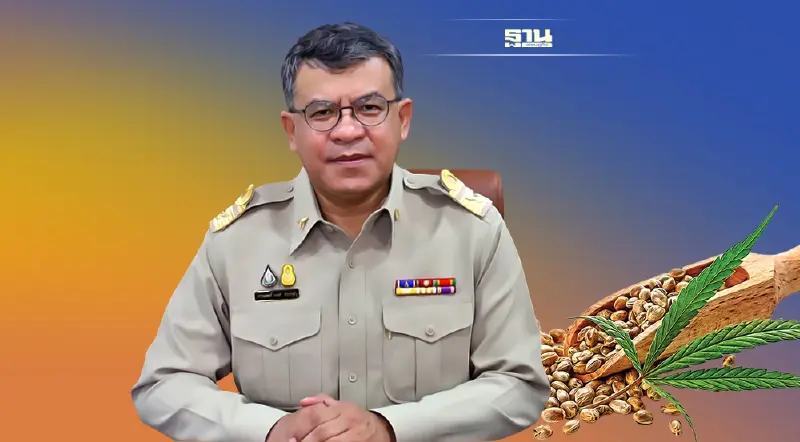 กรมการแพทย์แผนไทย ยัน “กัญชา”ทางการแพทย์แผนไทยปลอดภัย