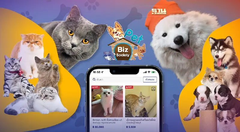 รู้มั้ย ทาสสัตว์เลี้ยงอะไร เป็นนักช้อปตัวยงบน "Kaidee"