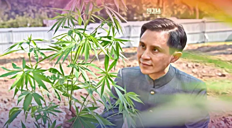 วันแรก แอปฯ “ปลูกกัญ” ล่ม คนแห่ลงทะเบียนกว่า 9 ล้านครั้ง วันแรก แอปฯ “ปลูกกัญ” ล่ม คนแห่ลงทะเบียนกว่า 9 ล้านครั้ง