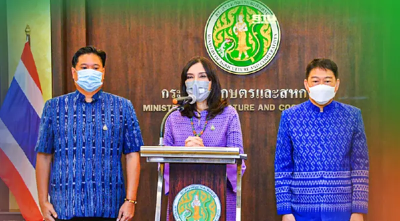 เปิดเงื่อนไข นำเข้าเมล็ดพันธุ์ “กัญชง” “กัญชา” “กระท่อม” หลังปลดล็อค 9 มิ.ย. เปิดเงื่อนไข นำเข้าเมล็ดพันธุ์ “กัญชง” “กัญชา” “กระท่อม” หลังปลดล็อค 9 มิ.ย.