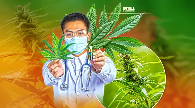 จะเกิดอะไรขึ้น?  หลังปลดล็อกกัญชา พ้นยาเสพติด 9 มิ.ย. 65